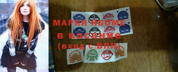 индика Саяногорск