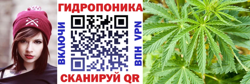 Каннабис семена  Купить где  Александровское 